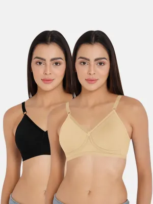 Naidu Hall Classi Knitwear Bra Combo Pack – Soft and Stylish Everyday Comfort for Women (C01)