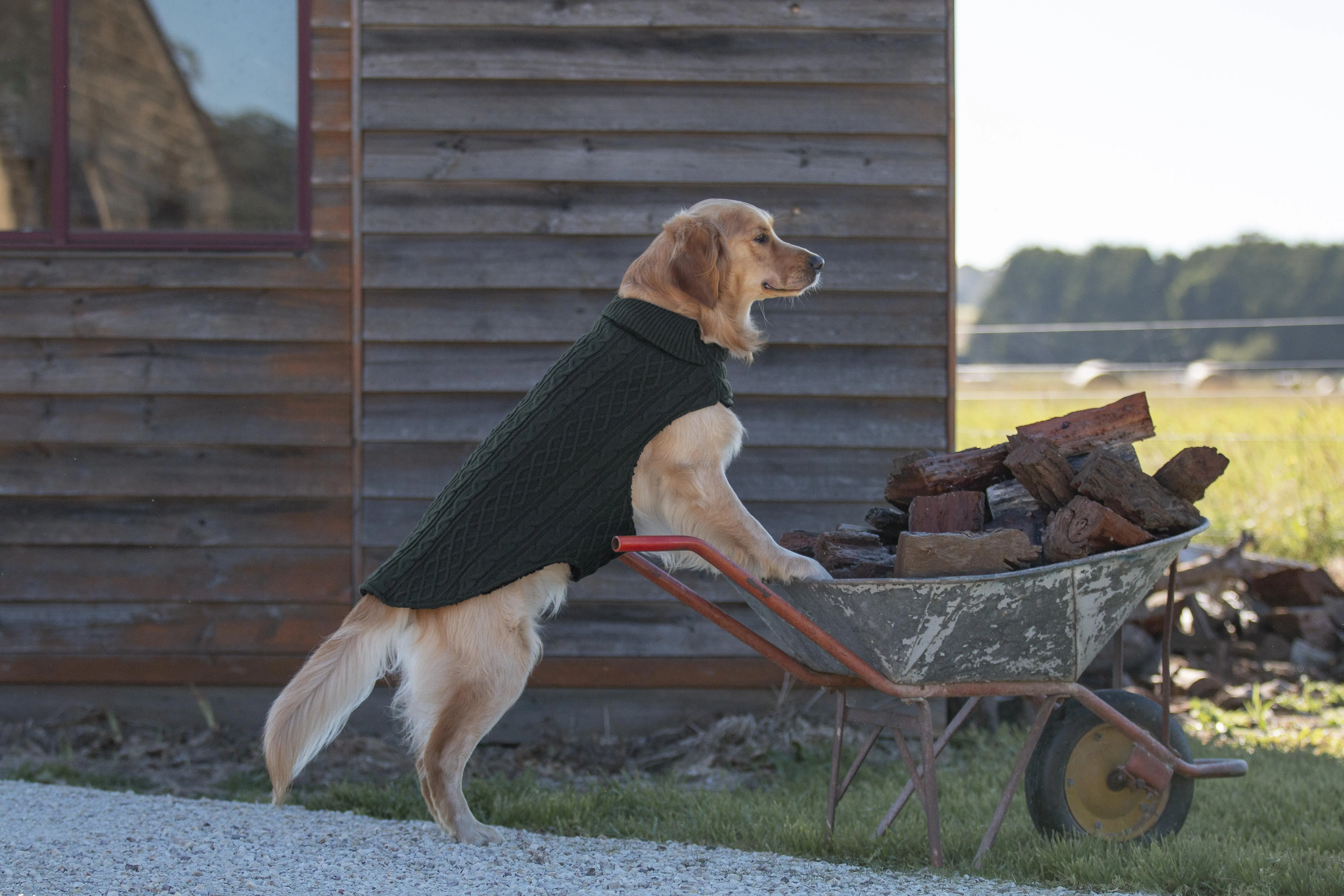 Ruff N Rugged Woolly Knit Dark Green